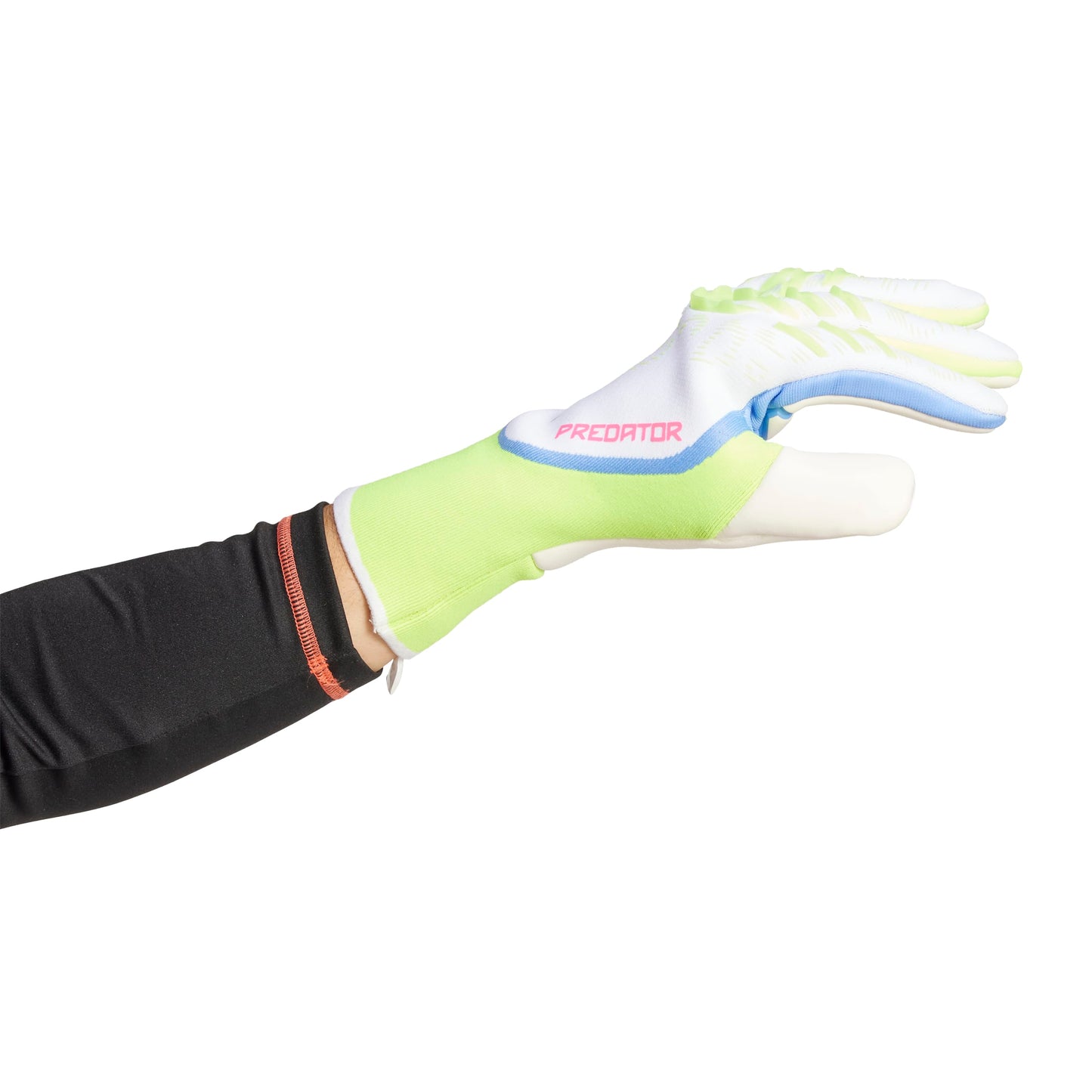 Gants de gardien de but Predator Pro