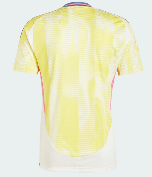 Juventus Away 2024/25