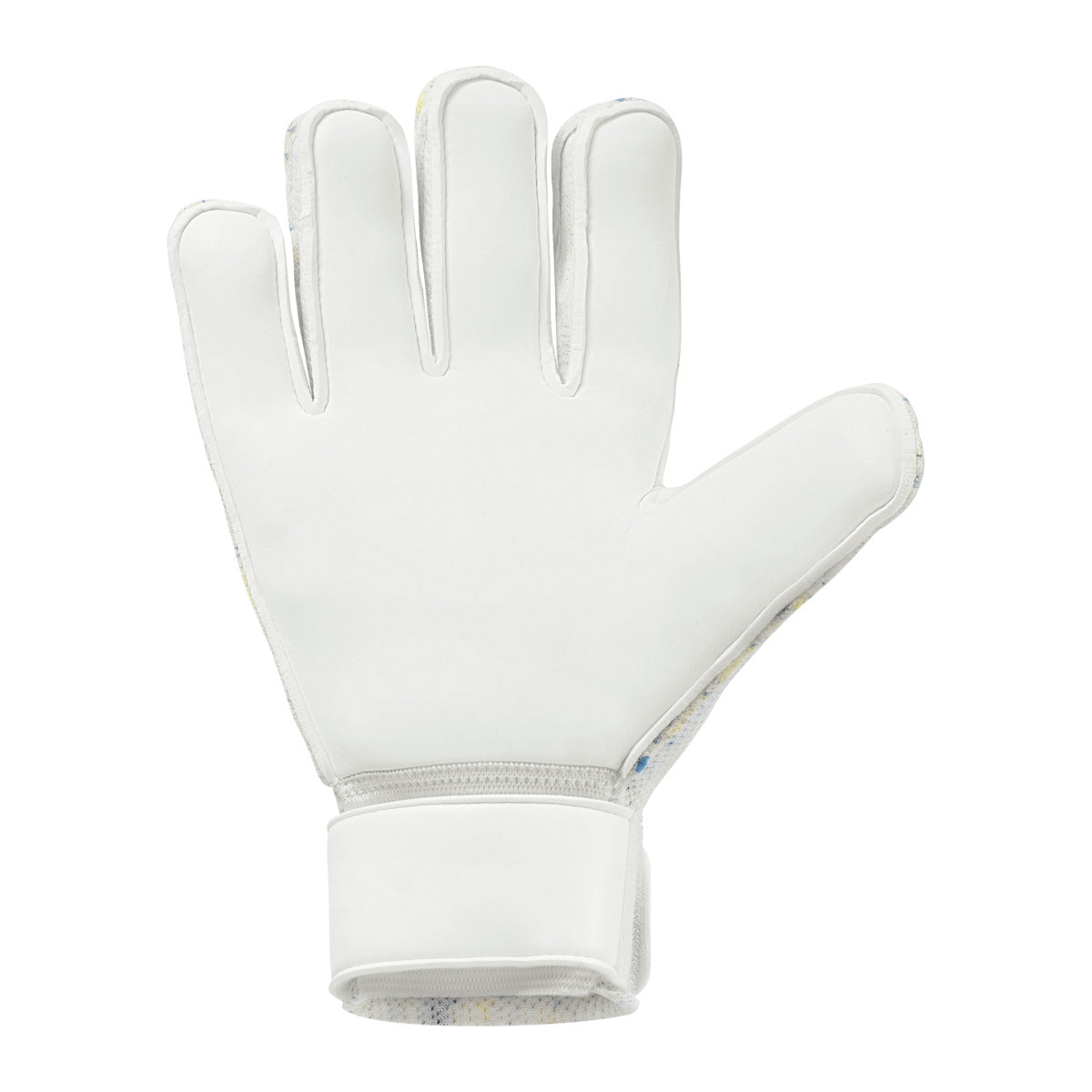 FM Cybertec Starter Soft