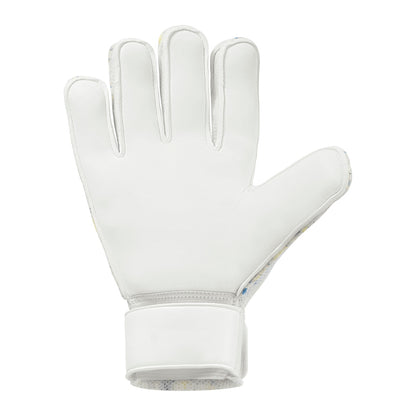 FM Cybertec Starter Soft