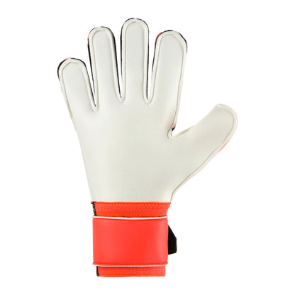 FM ZNE Soft Flex Frame