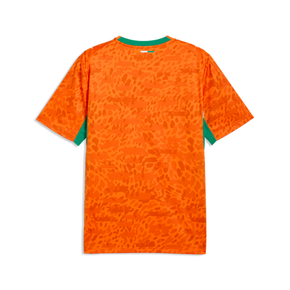 Ivory Coast FIF Home 2026