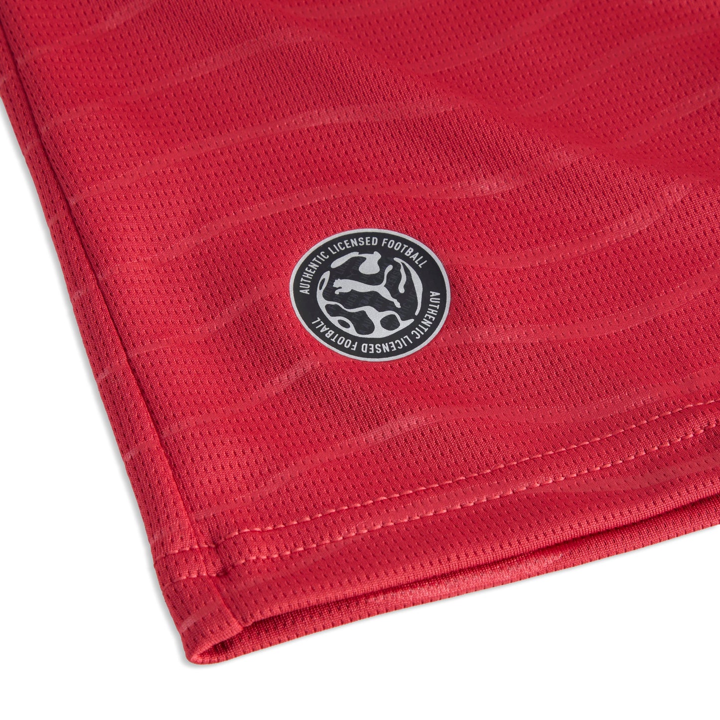 Maillot Domicile Portugal Leão 2026