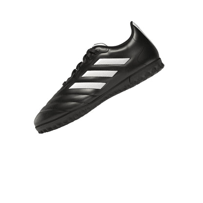 Goletto VIII Turf Junior