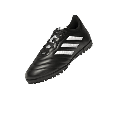 Goletto VIII Turf Junior