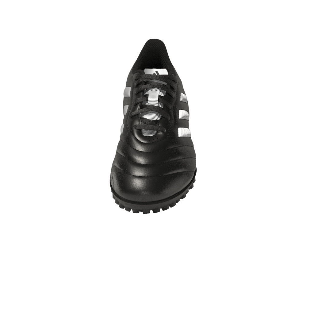 Goletto VIII Turf Junior