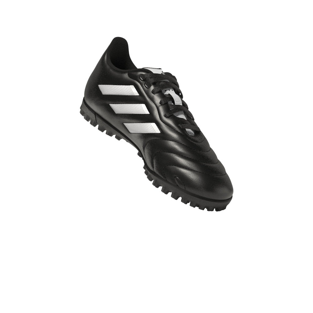 Goletto VIII Turf Junior
