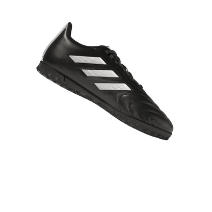 Goletto VIII Turf Junior
