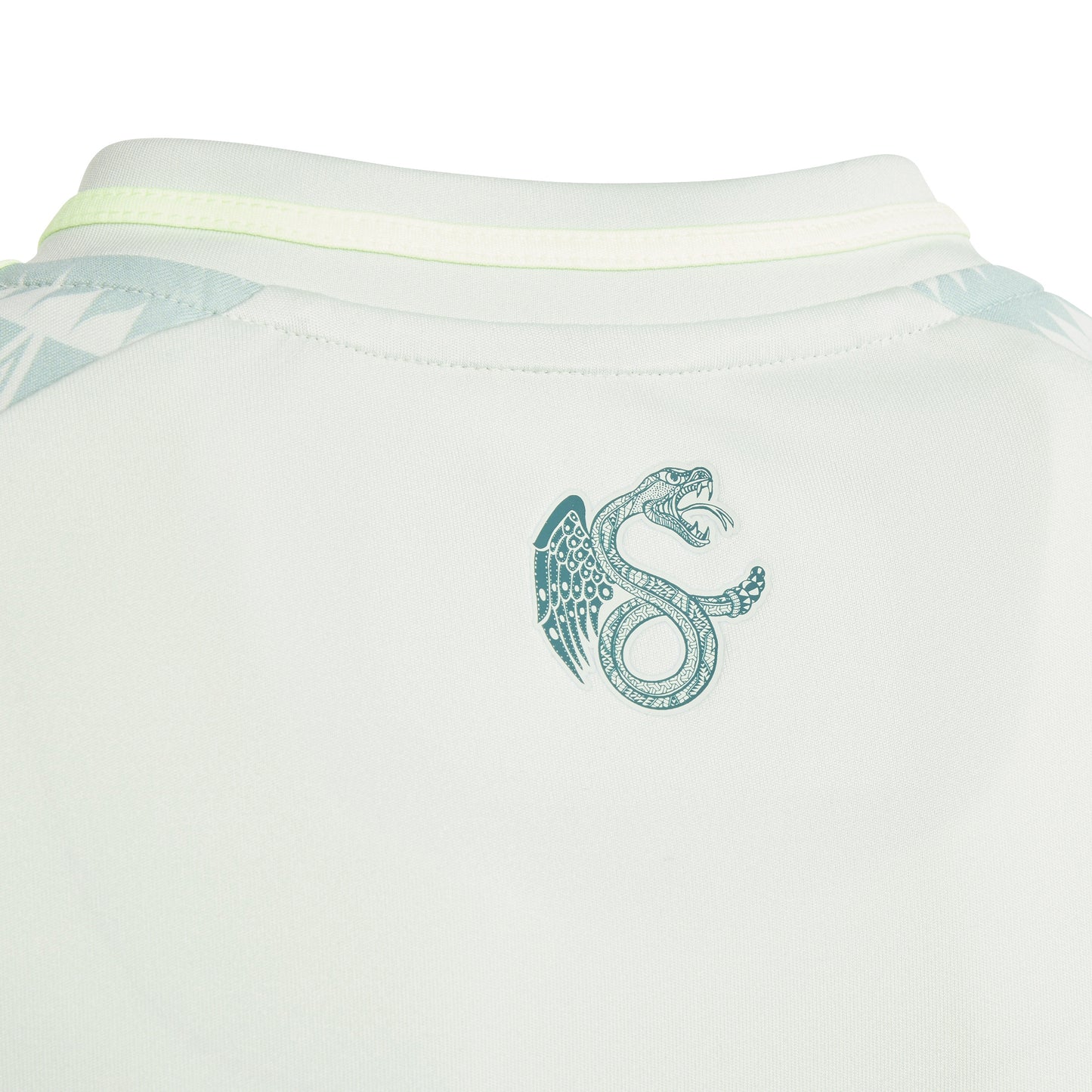 Mexico 2024/25 Away Junior