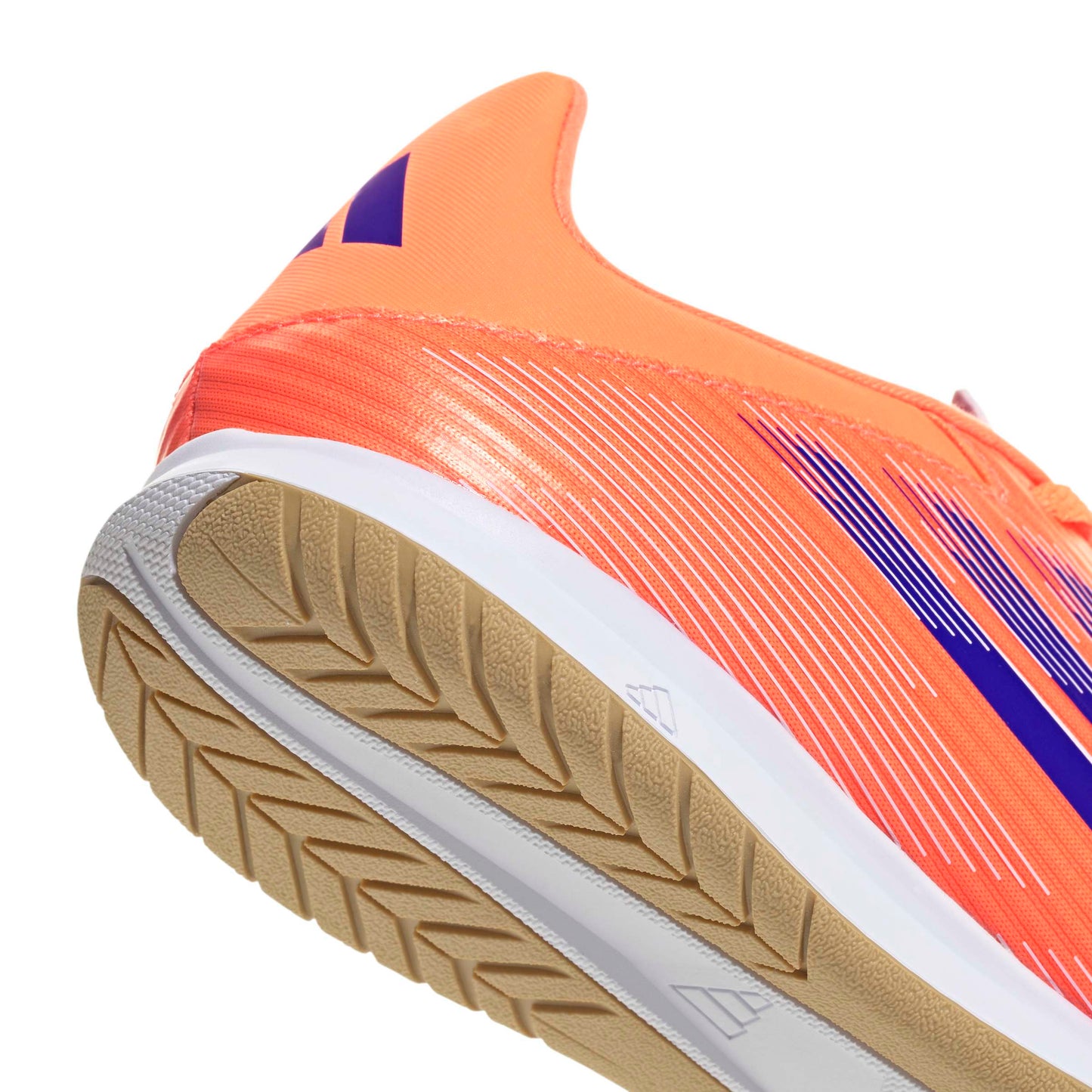 F50 Club Indoor