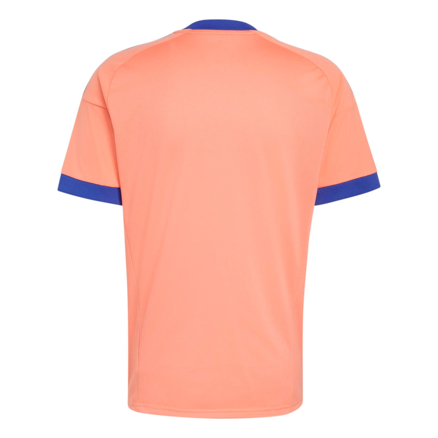Maillot Domicile Gardien Allemagne DFB 26