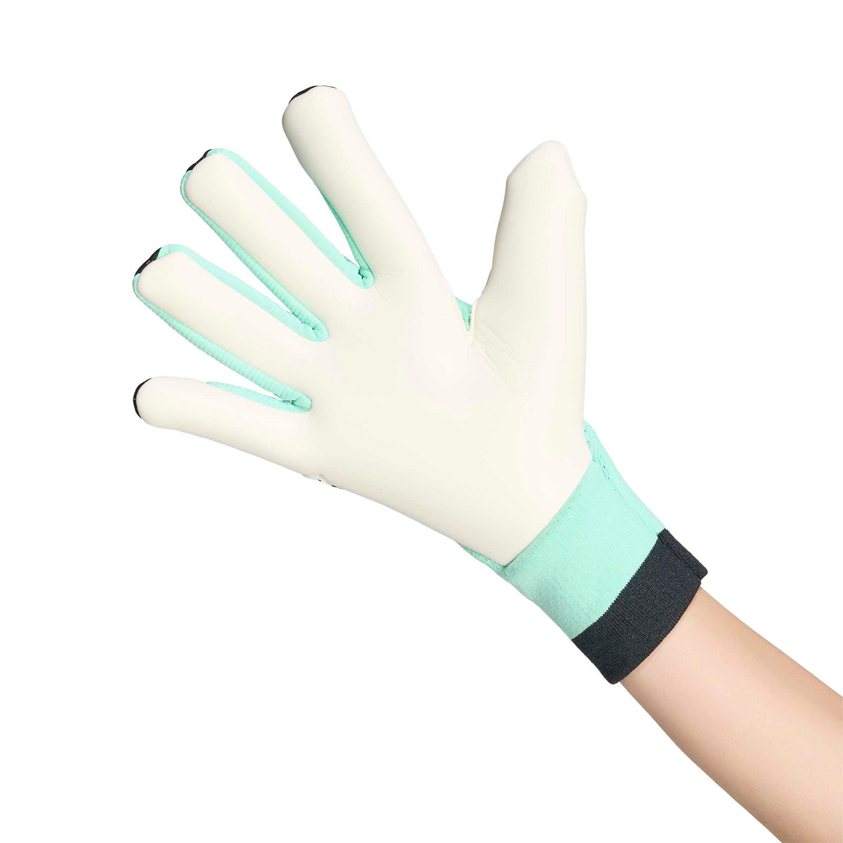 Predator Pro Goalkeeper Gloves
