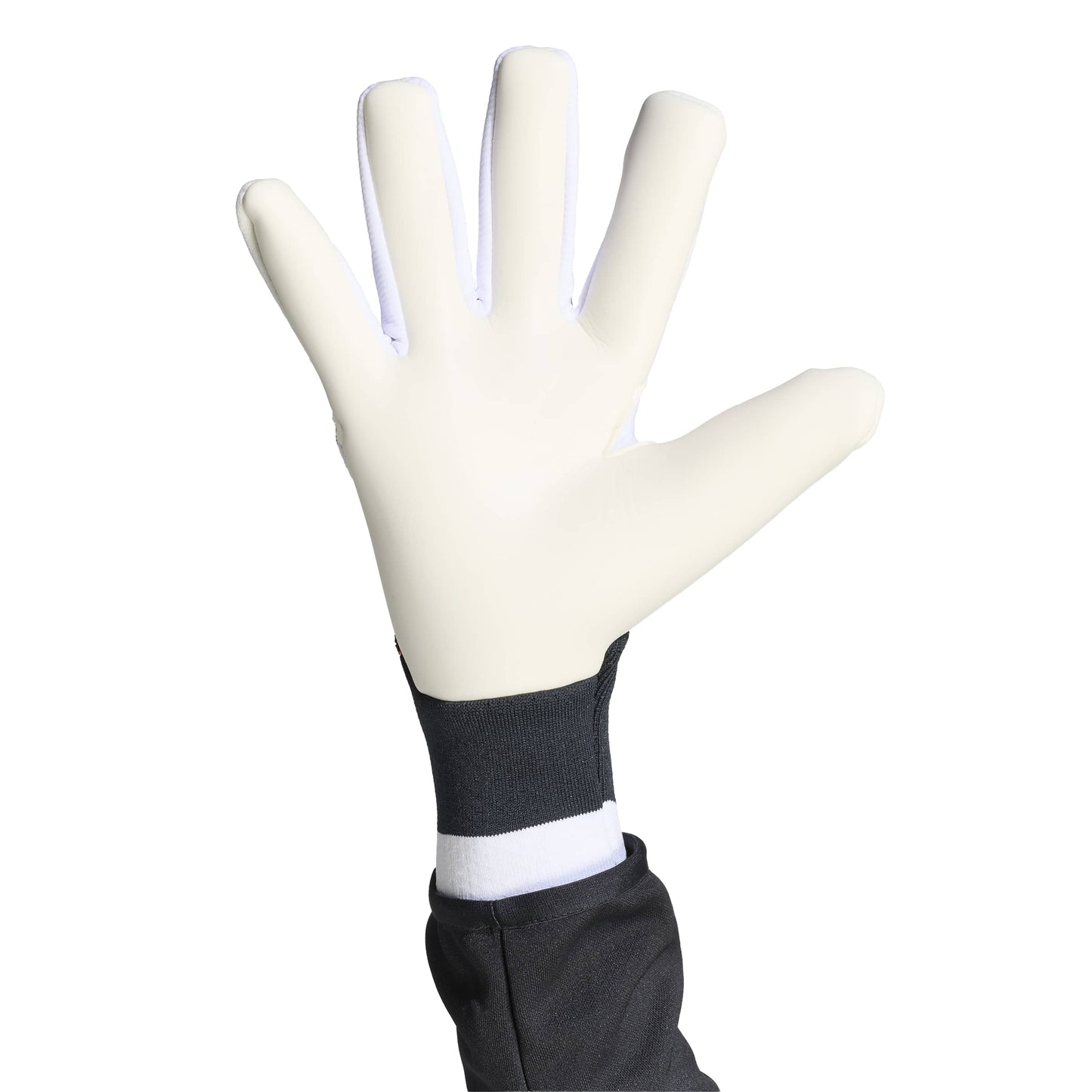 Gants Predator Pro