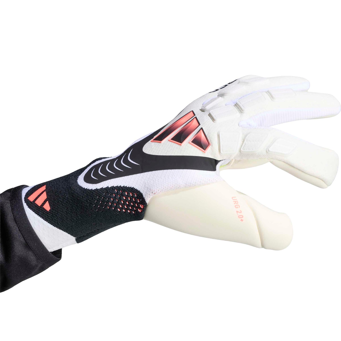 Gants Predator Pro